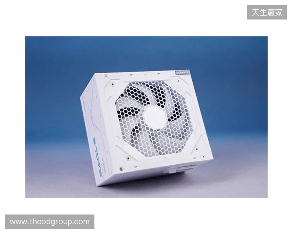 黑白双鹰，白金降临：技嘉猎鹰 冰猎鹰白金电源4月27日开售